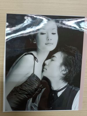 Bom preço. Filme de embalagem laminado em PET/PET brilhante Linha adesiva EVA para papel e produtos Largura 200-1920 mm on-line