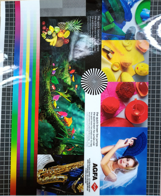 Good price 1920mm Largura 30mic Gloss Multiply Extrusion PET Hot Laminating Film para camada de proteção fotográfica on-line